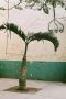 Cuba 19