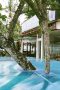 Thailand 6/1
