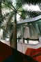 Thailand 1